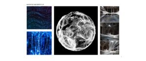 creative director freelance milano